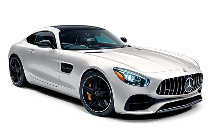 Mono Mercedes AMG GT-R